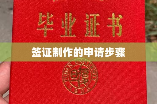 交城签证制作的申请步骤