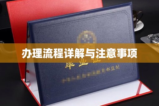交城办理流程详解与注意事项